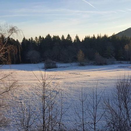 فندق لابروتشهفي  Domaine Des Cigogneaux المظهر الخارجي الصورة