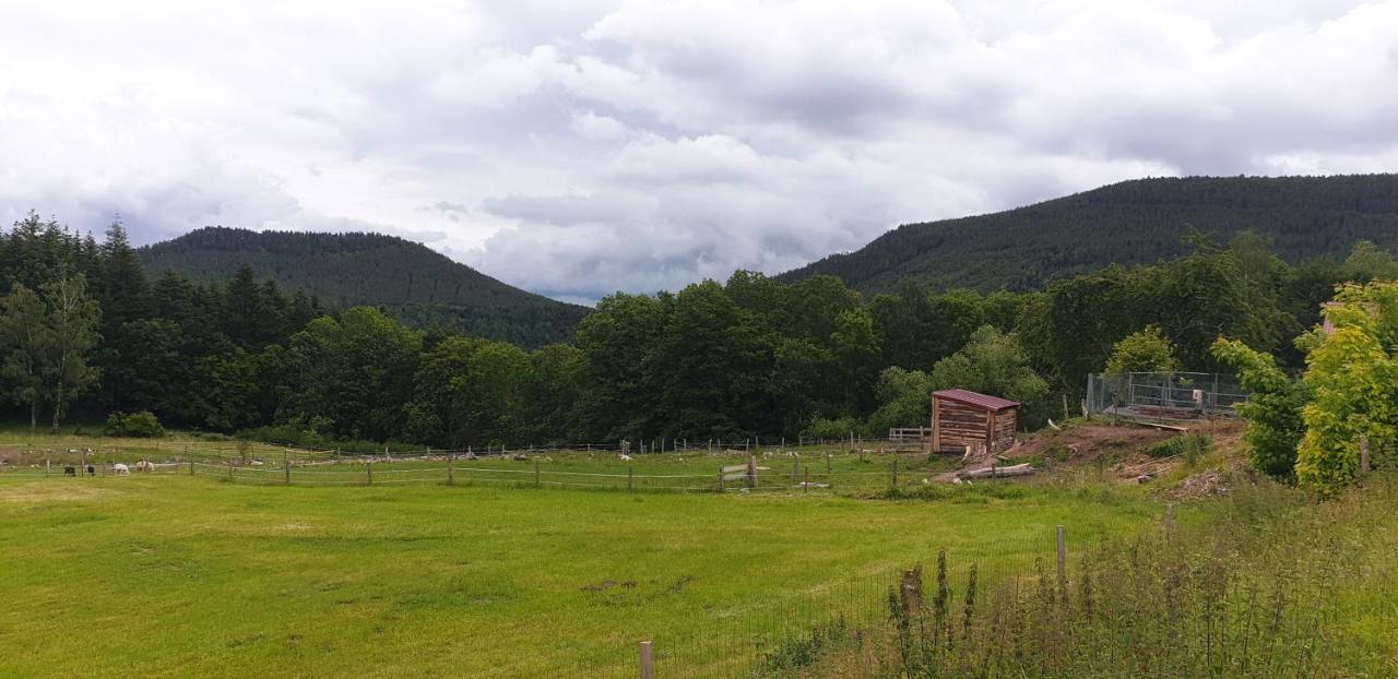 فندق لابروتشهفي  Domaine Des Cigogneaux المظهر الخارجي الصورة